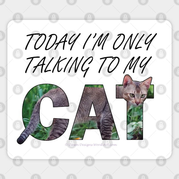 Today I'm only talking to my cat - brown sand cat oil painting word art Magnet by DawnDesignsWordArt